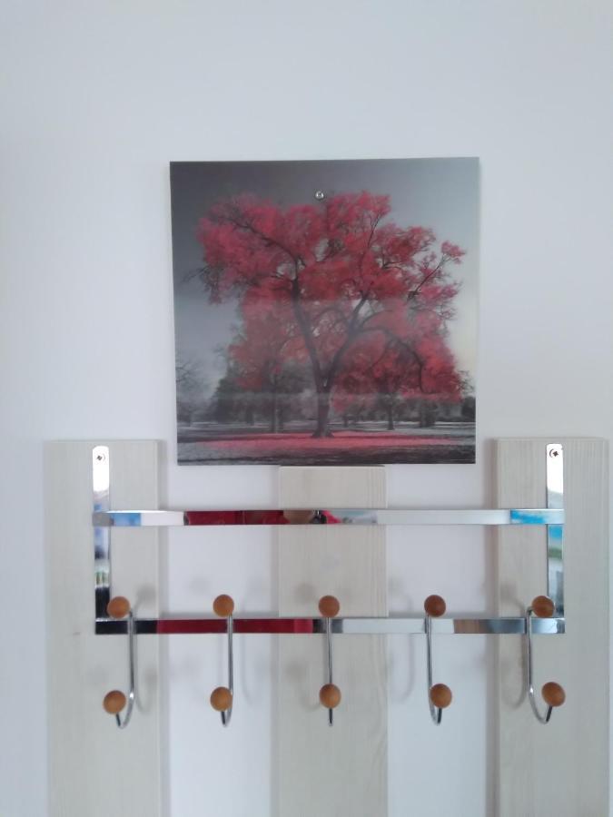 Raza Soarelui Apartament De Lux โซวาตา ภายนอก รูปภาพ